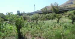 Termini Imerese: terreno agricolo contrada Vignale