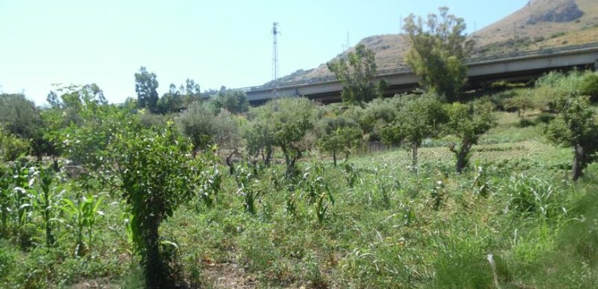 Termini Imerese: terreno agricolo contrada Vignale