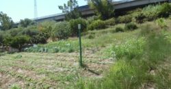 Termini Imerese: terreno agricolo contrada Vignale