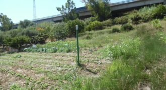 Termini Imerese: terreno agricolo contrada Vignale