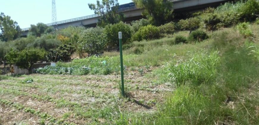 Termini Imerese: terreno agricolo contrada Vignale