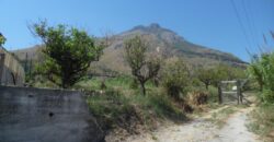 Termini Imerese: terreno agricolo contrada Vignale