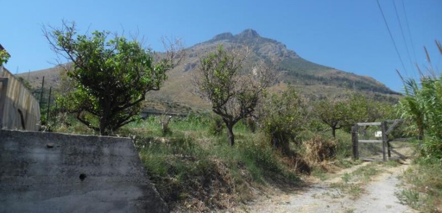 Termini Imerese: terreno agricolo contrada Vignale