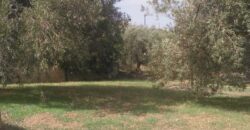 Termini Imerese: villa contrada Cozzo Imperatore