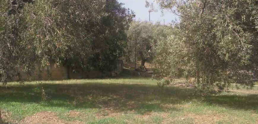 Termini Imerese: villa contrada Cozzo Imperatore