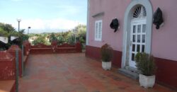 Termini Imerese: villa via libertà