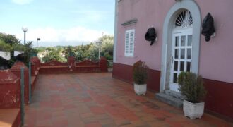 Termini Imerese: villa via libertà