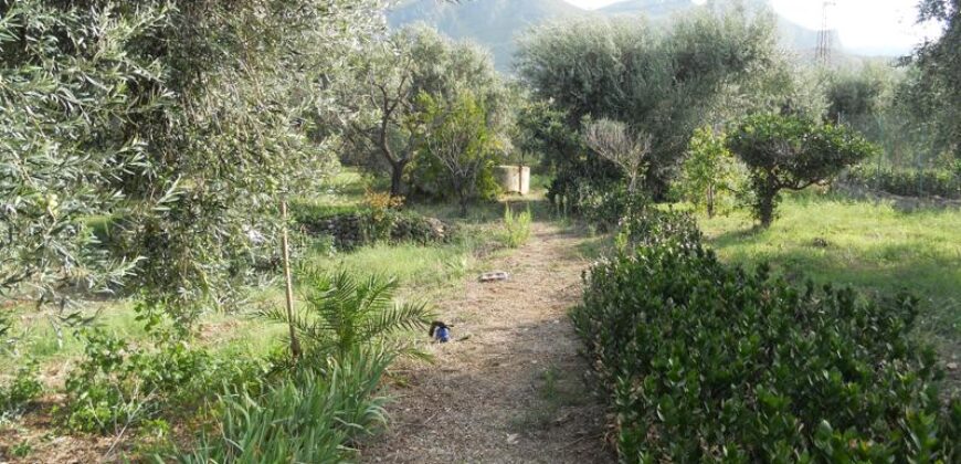 Termini Imerese: villa via libertà