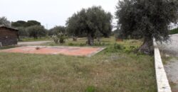 Termini Imerese: terreno edificabile contrada Bragone