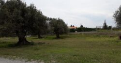 Termini Imerese: terreno edificabile contrada Bragone