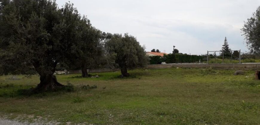 Termini Imerese: terreno edificabile contrada Bragone