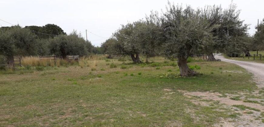 Termini Imerese: terreno edificabile contrada Bragone
