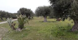 Termini Imerese: terreno edificabile contrada Bragone