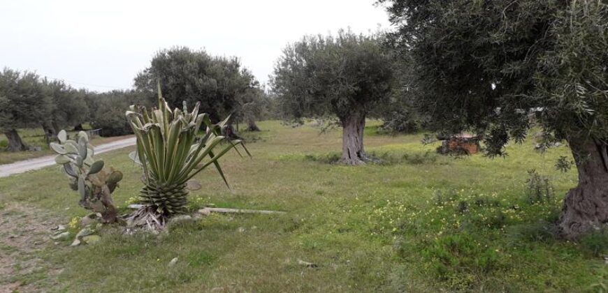 Termini Imerese: terreno edificabile contrada Bragone