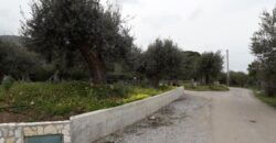Termini Imerese: terreno edificabile contrada Bragone