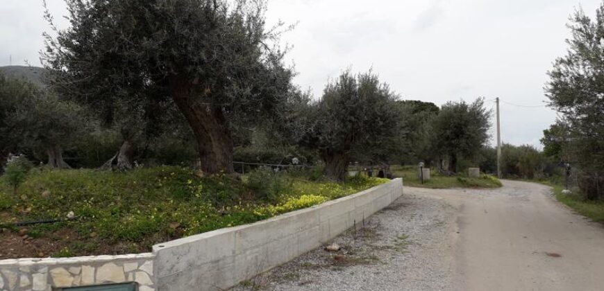 Termini Imerese: terreno edificabile contrada Bragone