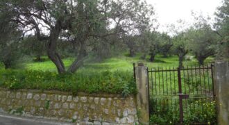 Termini Imerese: terreno edificabile contrada San Girolamo