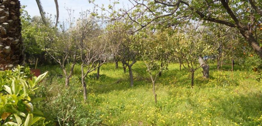 Termini Imerese: villa contrada Incallisi