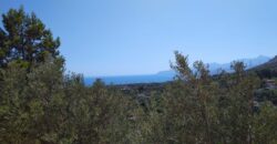 Termini Imerese: villetta contrada Balata