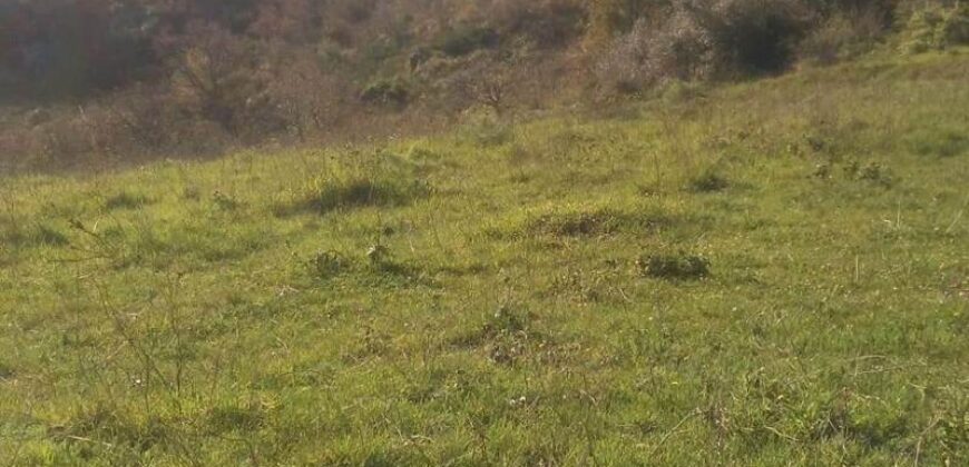 Termini Imerese: terreno agricolo contrada Pernice