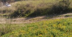 Termini Imerese: terreno agricolo contrada Pernice