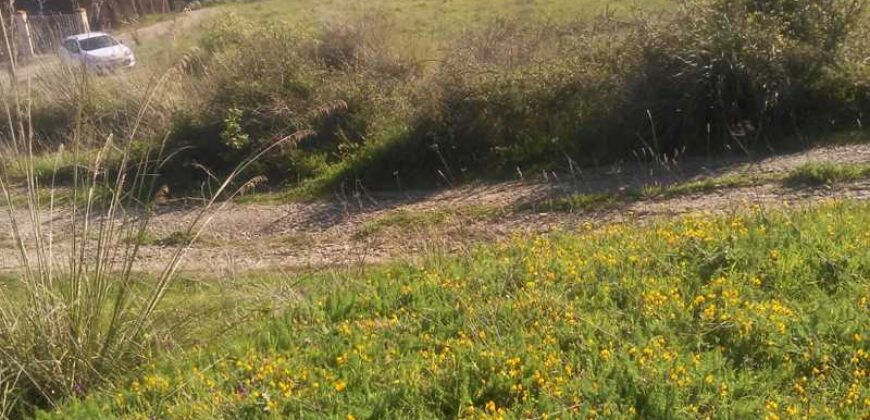 Termini Imerese: terreno agricolo contrada Pernice