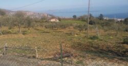 Termini Imerese: terreno agricolo contrada Pernice