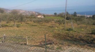 Termini Imerese: terreno agricolo contrada Pernice