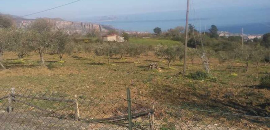 Termini Imerese: terreno agricolo contrada Pernice