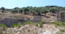 Termini Imerese: terreno agricolo contrada Scoparo