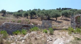 Termini Imerese: terreno agricolo contrada Scoparo