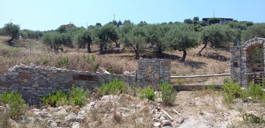 Termini Imerese: terreno agricolo contrada Scoparo