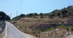 Termini Imerese: terreno agricolo contrada Scoparo