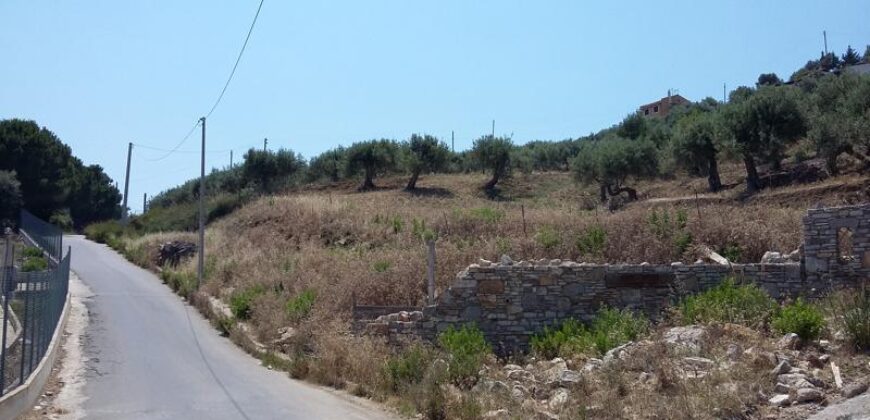 Termini Imerese: terreno agricolo contrada Scoparo