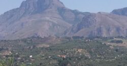 Termini Imerese: terreno agricolo contrada Scoparo