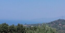 Termini Imerese: terreno agricolo contrada Scoparo