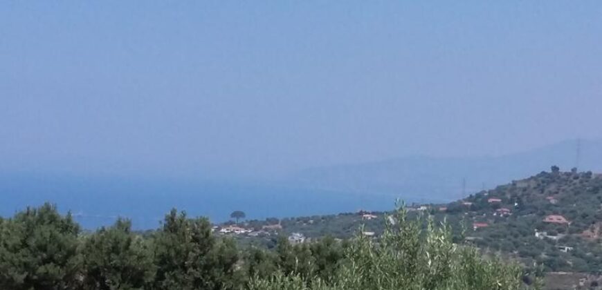 Termini Imerese: terreno agricolo contrada Scoparo