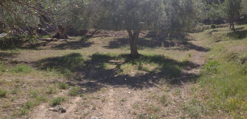 Termini Imerese:terreno agricolo contrada Chiusa