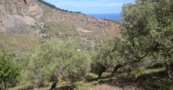 Termini Imerese:terreno agricolo contrada Chiusa