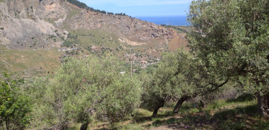 Termini Imerese:terreno agricolo contrada Chiusa