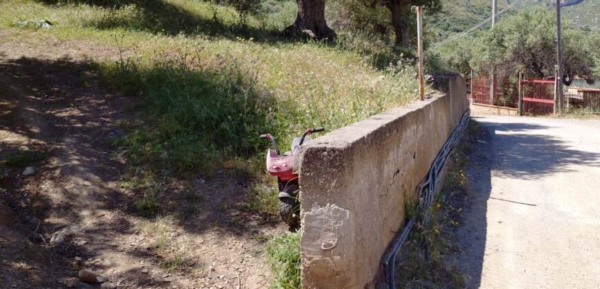 Termini Imerese:terreno agricolo contrada Chiusa