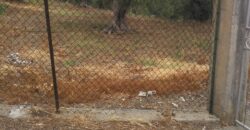 Termini Imerese: terreno agricolo contrada Cortevecchia