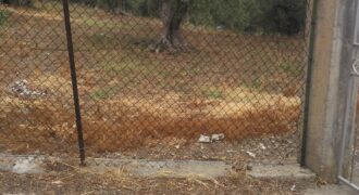 Termini Imerese: terreno agricolo contrada Cortevecchia