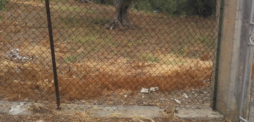 Termini Imerese: terreno agricolo contrada Cortevecchia