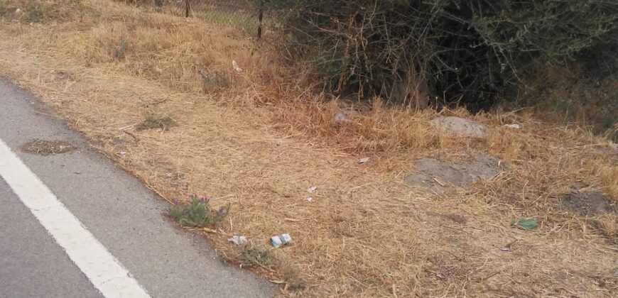 Termini Imerese: terreno agricolo contrada Cortevecchia