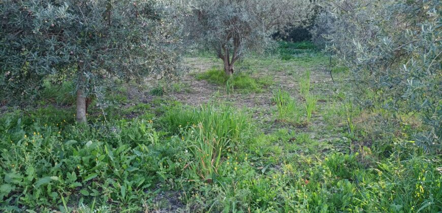 Termini Imerese: villetta contrada  Impalastro