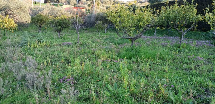 Termini Imerese: villetta contrada  Impalastro