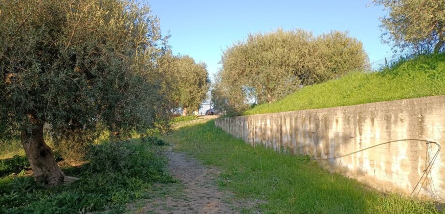 Termini Imerese: villetta contrada  Impalastro