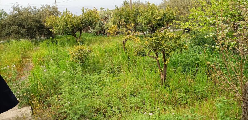 Termini Imerese: villa contrada Pileri