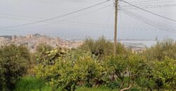 Termini Imerese: villa contrada Pileri